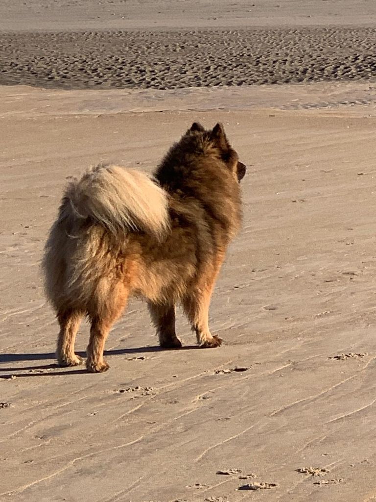 Umi Des Hauts De Chamboursat