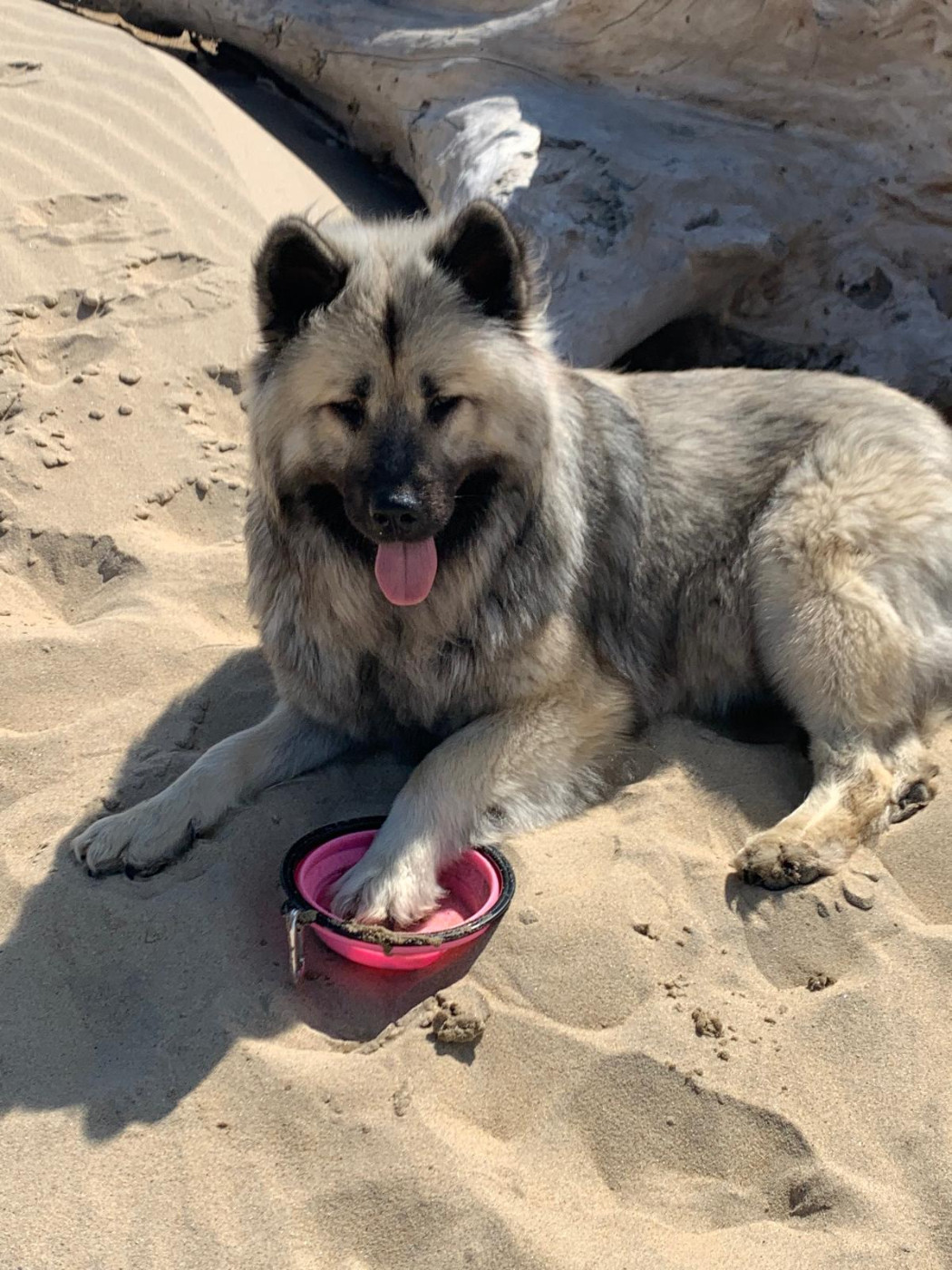 Uricane Des Hauts De Chamboursat